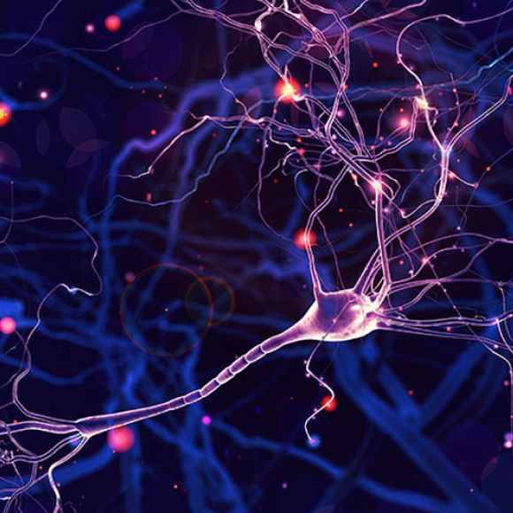 web agency e comunicazione